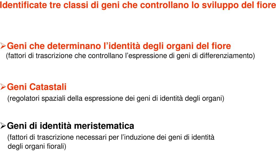 differenziamento) Geni Catastali (regolatori spaziali della espressione dei geni di identità degli