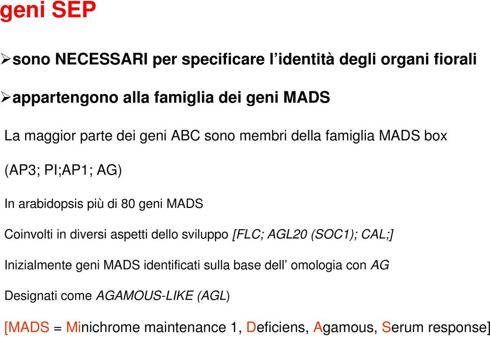 Coinvolti in diversi aspetti dello sviluppo [FLC; AGL20 (SOC1); CAL;] Inizialmente geni MADS identificati sulla base