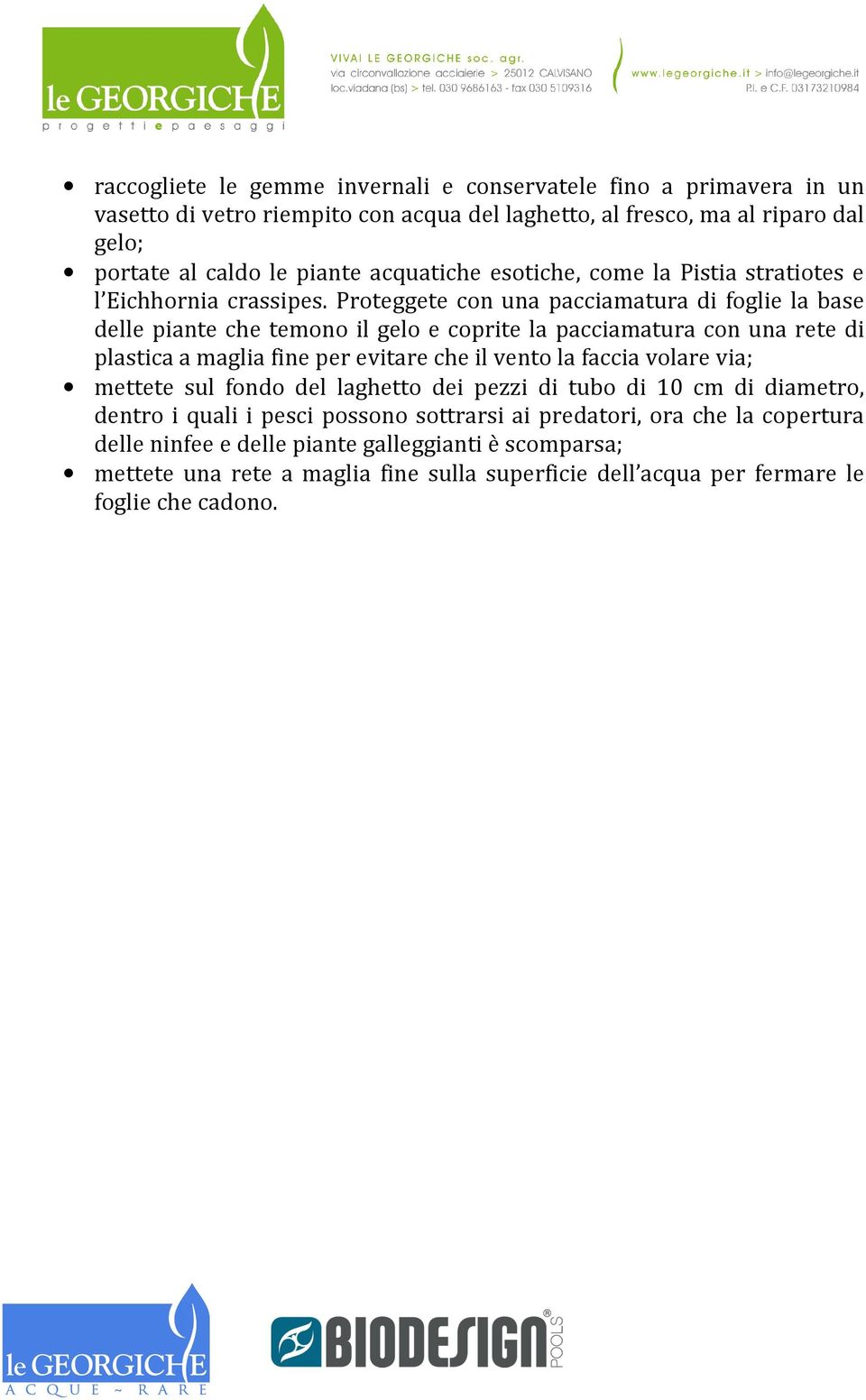 Proteggete con una pacciamatura di foglie la base delle piante che temono il gelo e coprite la pacciamatura con una rete di plastica a maglia fine per evitare che il vento la faccia