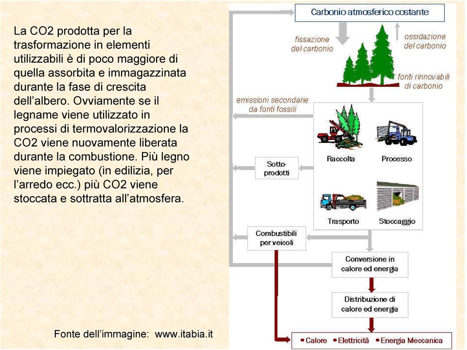 Ovviamente se il legname viene utilizzato in processi di termovalorizzazione la CO2 viene nuovamente