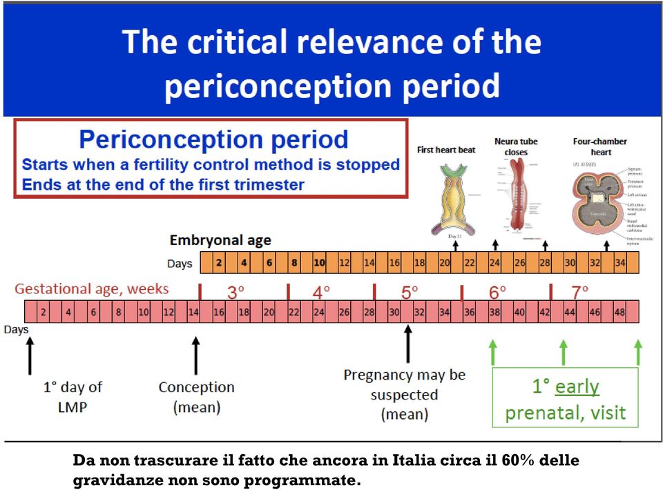 Italia circa il 60% delle