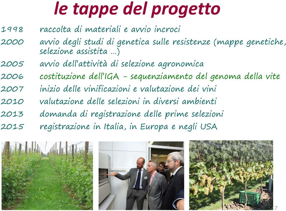 sequenziamento del genoma della vite 2007 inizio delle vinificazioni e valutazione dei vini 2010 valutazione delle