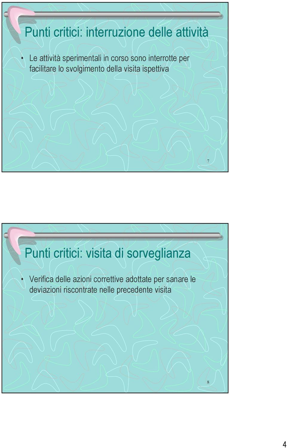 ispettiva 7 Punti critici: visita di sorveglianza Verifica delle azioni