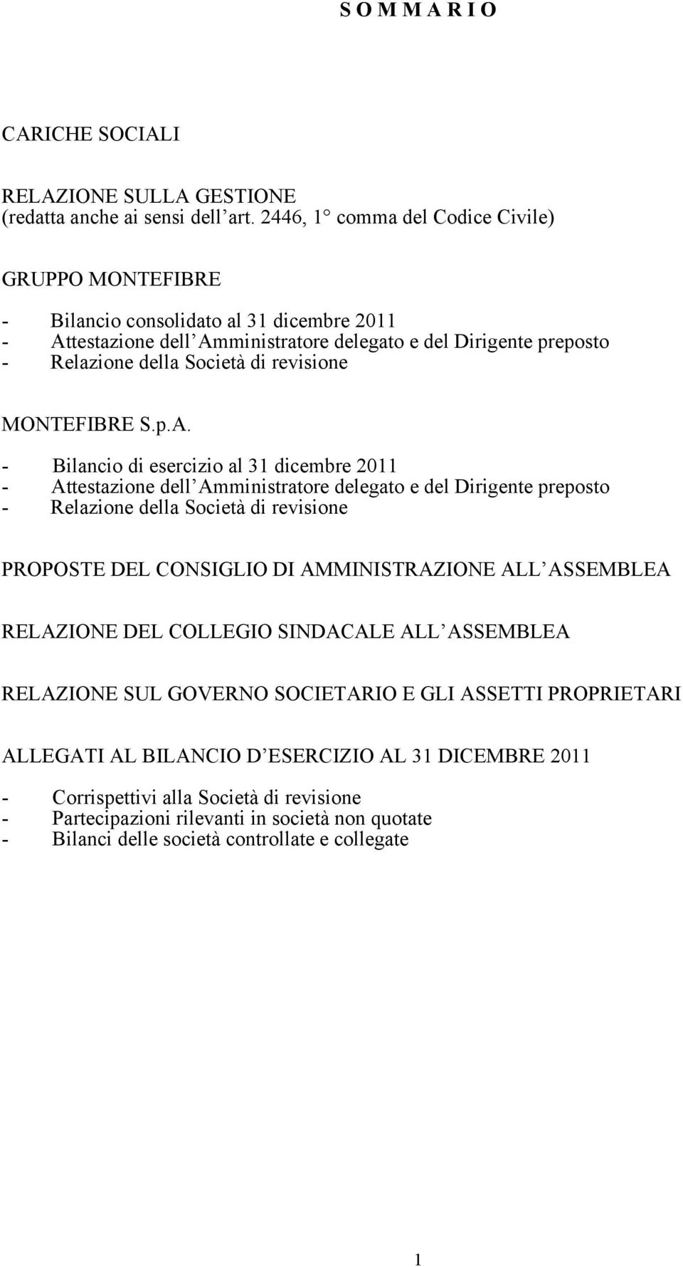 revisione MONTEFIBRE S.p.A.