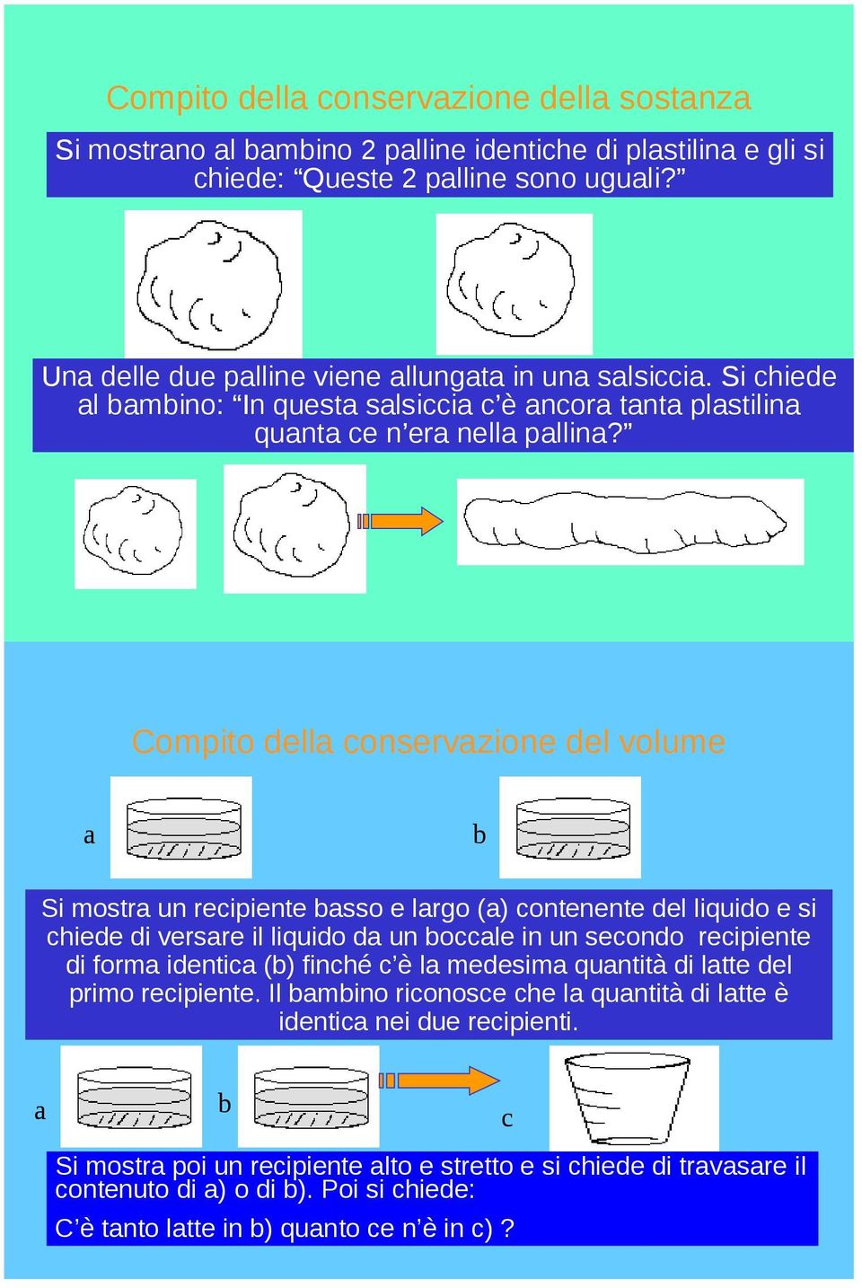 Compito della conservazione del volume a b Si mostra un recipiente basso e largo (a) contenente del liquido e si chiede di versare il liquido da un boccale in un secondo recipiente di forma identica