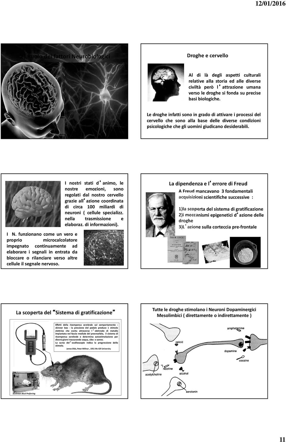 funzionano come un vero e proprio microcalcolatore impegnato continuamente ad elaborare i segnali in entrata da bloccare o rilanciare verso altre cellule il segnale nervoso.