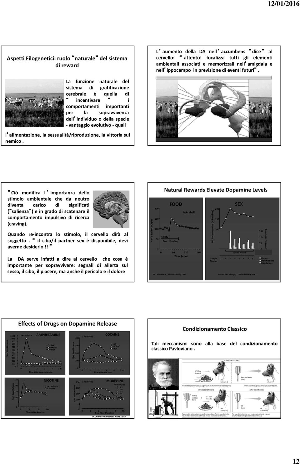 La funzione naturale del sistema di gratificazione cerebrale è quella di comportamenti importanti per la sopravvivenza dell individuo o della specie - vantaggio evolutivo- quali l alimentazione, la