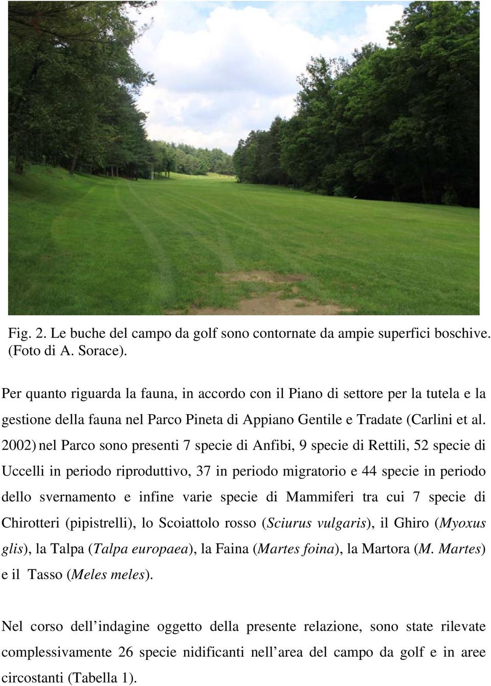 2002) nel Parco sono presenti 7 specie di Anfibi, 9 specie di Rettili, 52 specie di Uccelli in periodo riproduttivo, 37 in periodo migratorio e 44 specie in periodo dello svernamento e infine varie