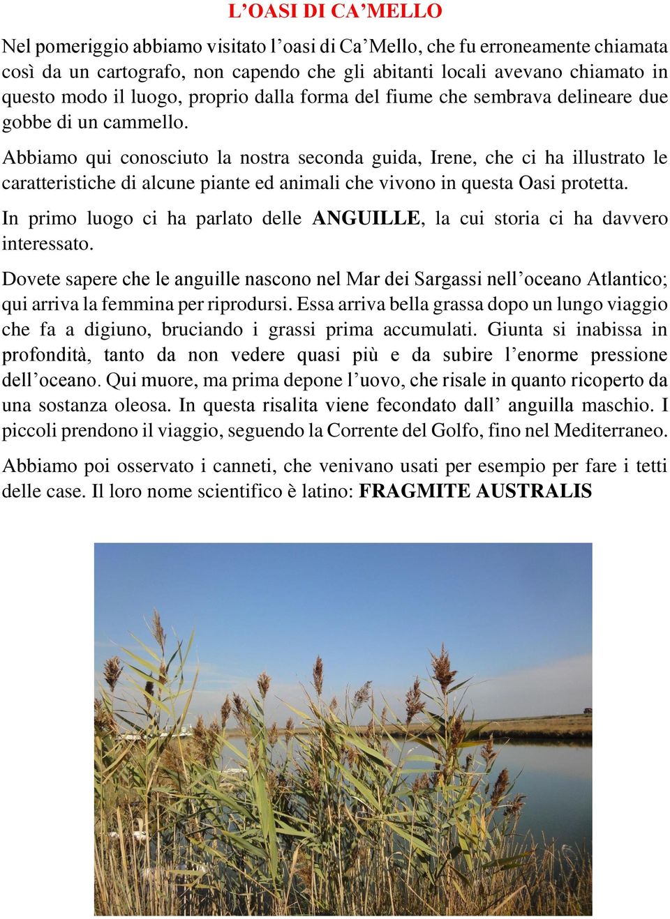 Abbiamo qui conosciuto la nostra seconda guida, Irene, che ci ha illustrato le caratteristiche di alcune piante ed animali che vivono in questa Oasi protetta.