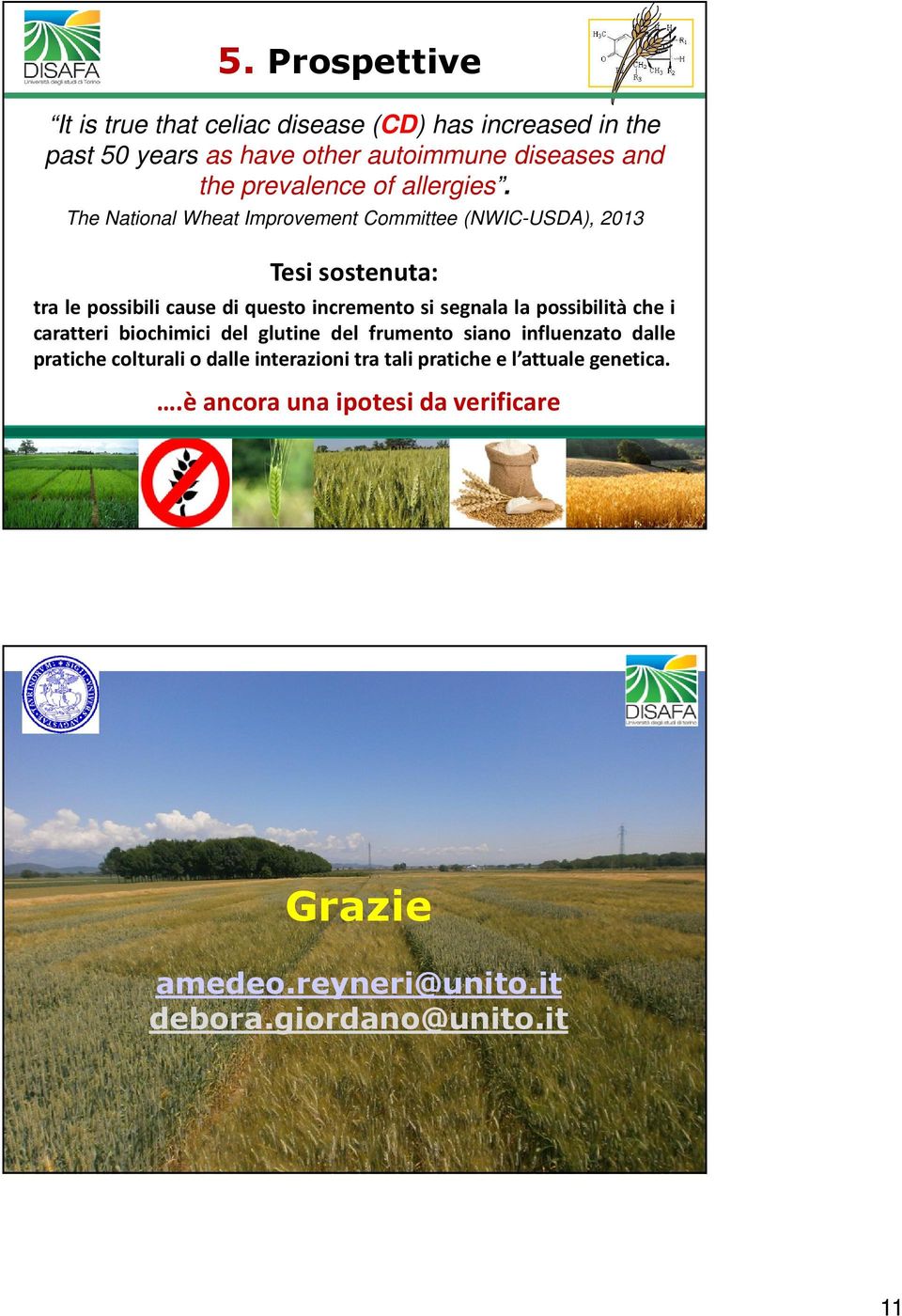 The National Wheat Improvement Committee (NWIC-USDA), 2013 Tesi sostenuta: tra le possibili cause di questo incremento si segnala la possibilità che i