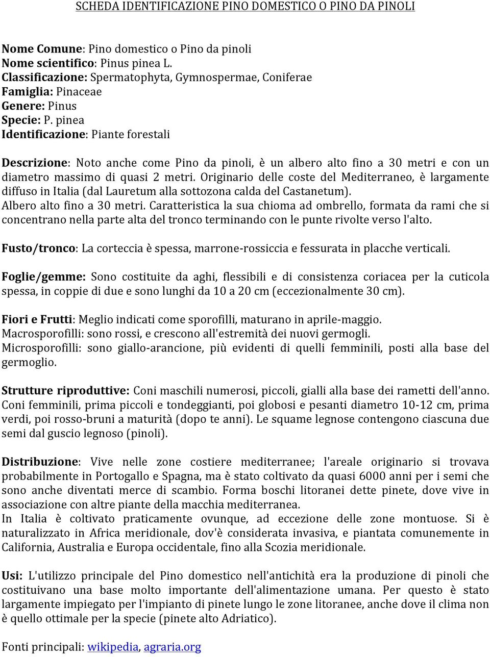 pinea Identificazione:Pianteforestali Descrizione: Noto anche come Pino da pinoli, è un albero alto fino a 30 metri e con un diametro massimo di quasi 2 metri.