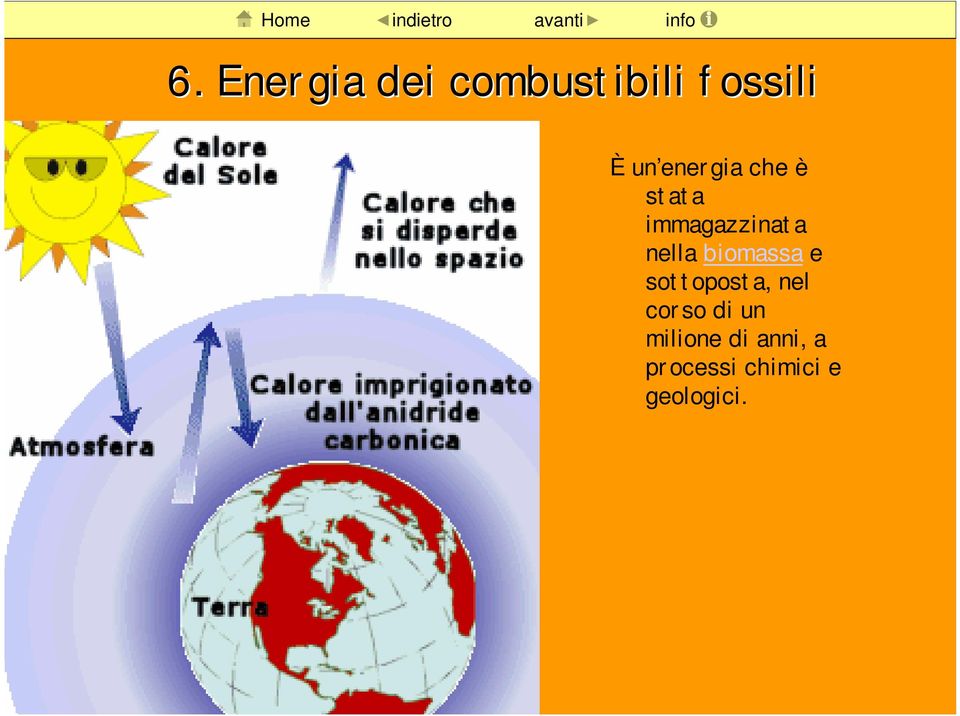 biomassa e sottoposta, nel corso di un