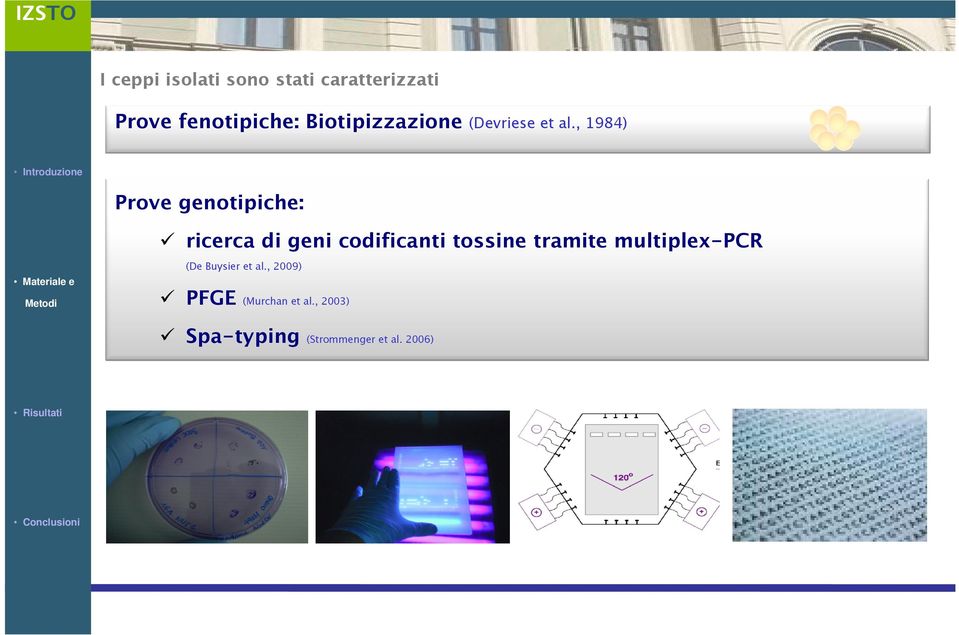 , 1984) Introduzione Prove genotipiche: ricerca di geni codificanti tossine