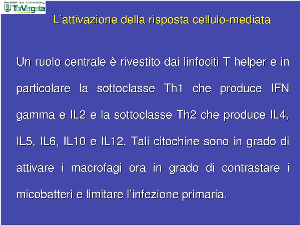 sottoclasse Th2 che produce IL4, IL5, IL6, IL10 e IL12.