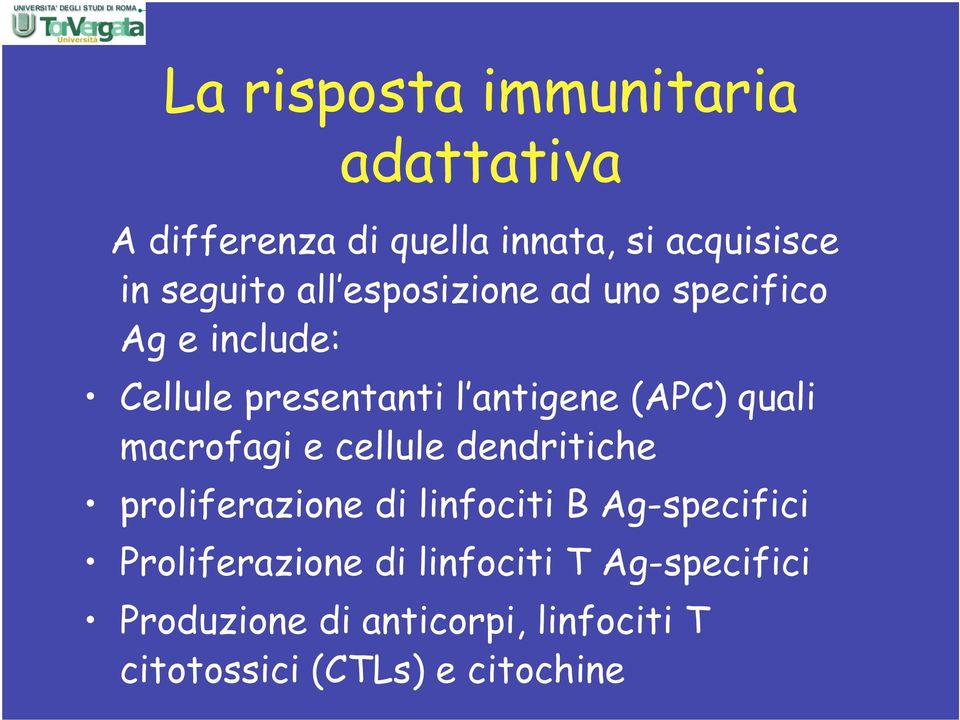 macrofagi e cellule dendritiche proliferazione di linfociti B Ag-specifici Proliferazione