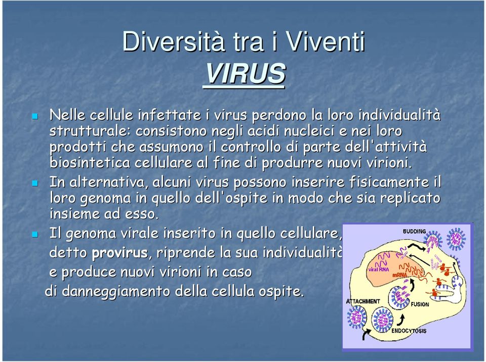 In alternativa, alcuni virus possono inserire fisicamente il loro genoma in quello dell'ospite in modo che sia replicato insieme ad