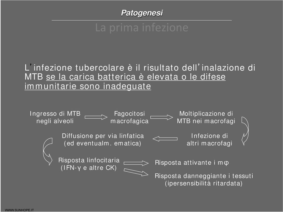 nei macrofagi Diffusione per via linfatica (ed eventualm.