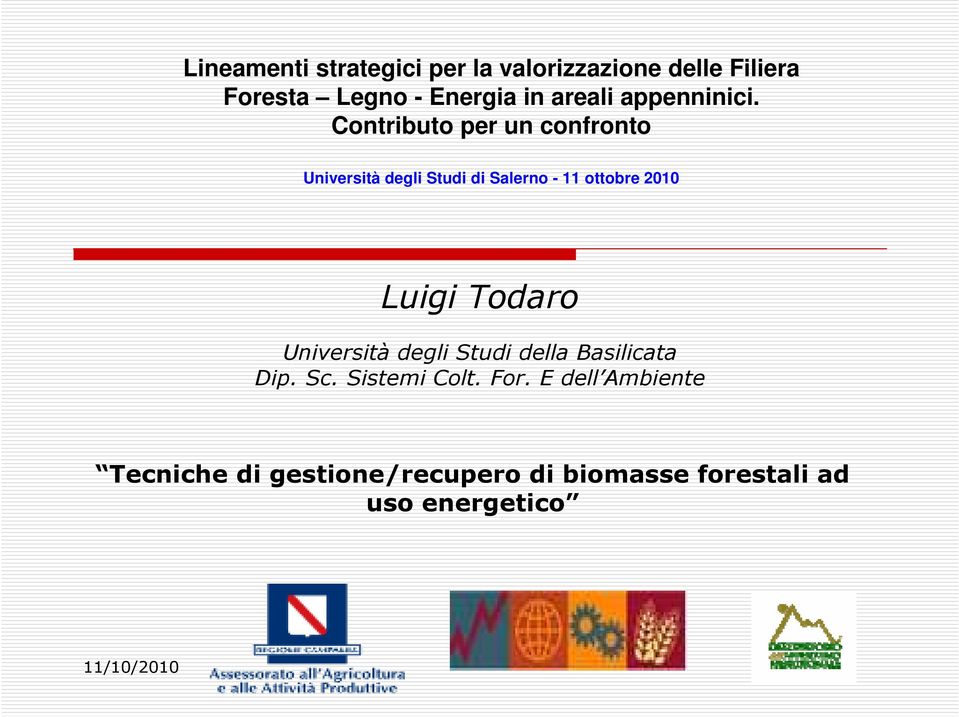 Contributo per un confronto Università degli Studi di Salerno - 11 ottobre 2010 Luigi