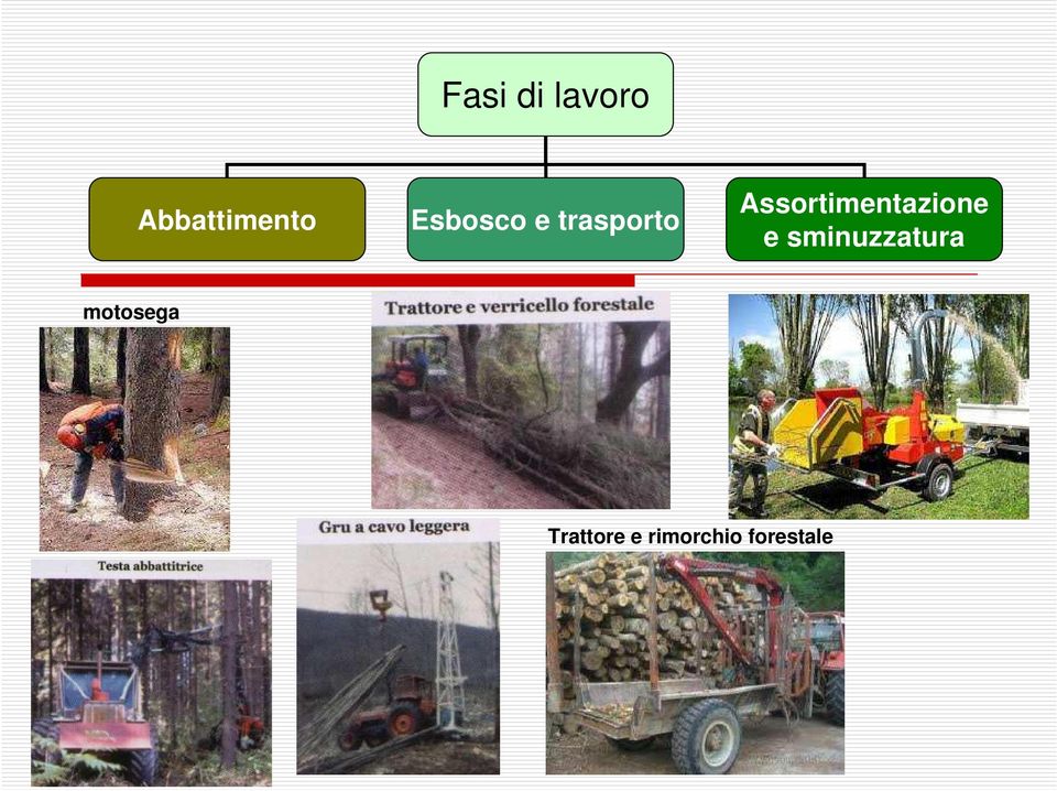 Assortimentazione e sminuzzatura