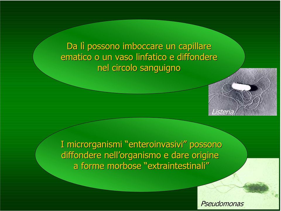 microrganismi enteroinvasivi possono diffondere nell