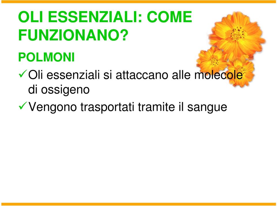 attaccano alle molecole di