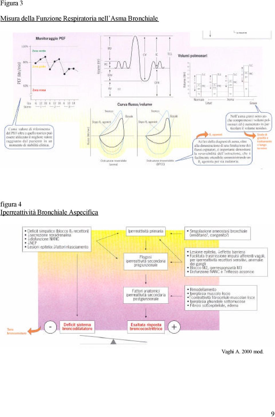 Bronchiale figura 4