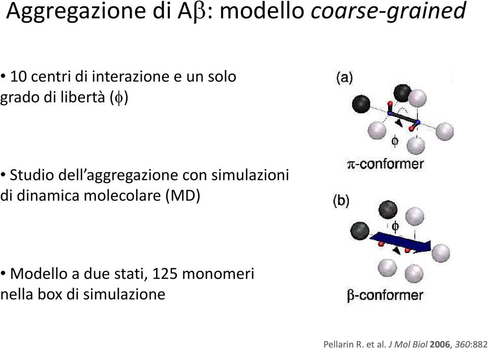 aggregazione con simulazioni di dinamica molecolare (MD) Modello a