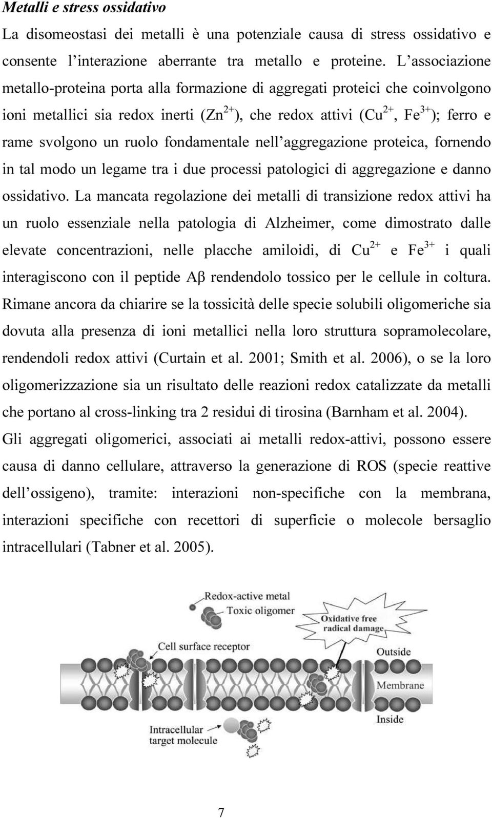 fondamentale nell aggregazione proteica, fornendo in tal modo un legame tra i due processi patologici di aggregazione e danno ossidativo.