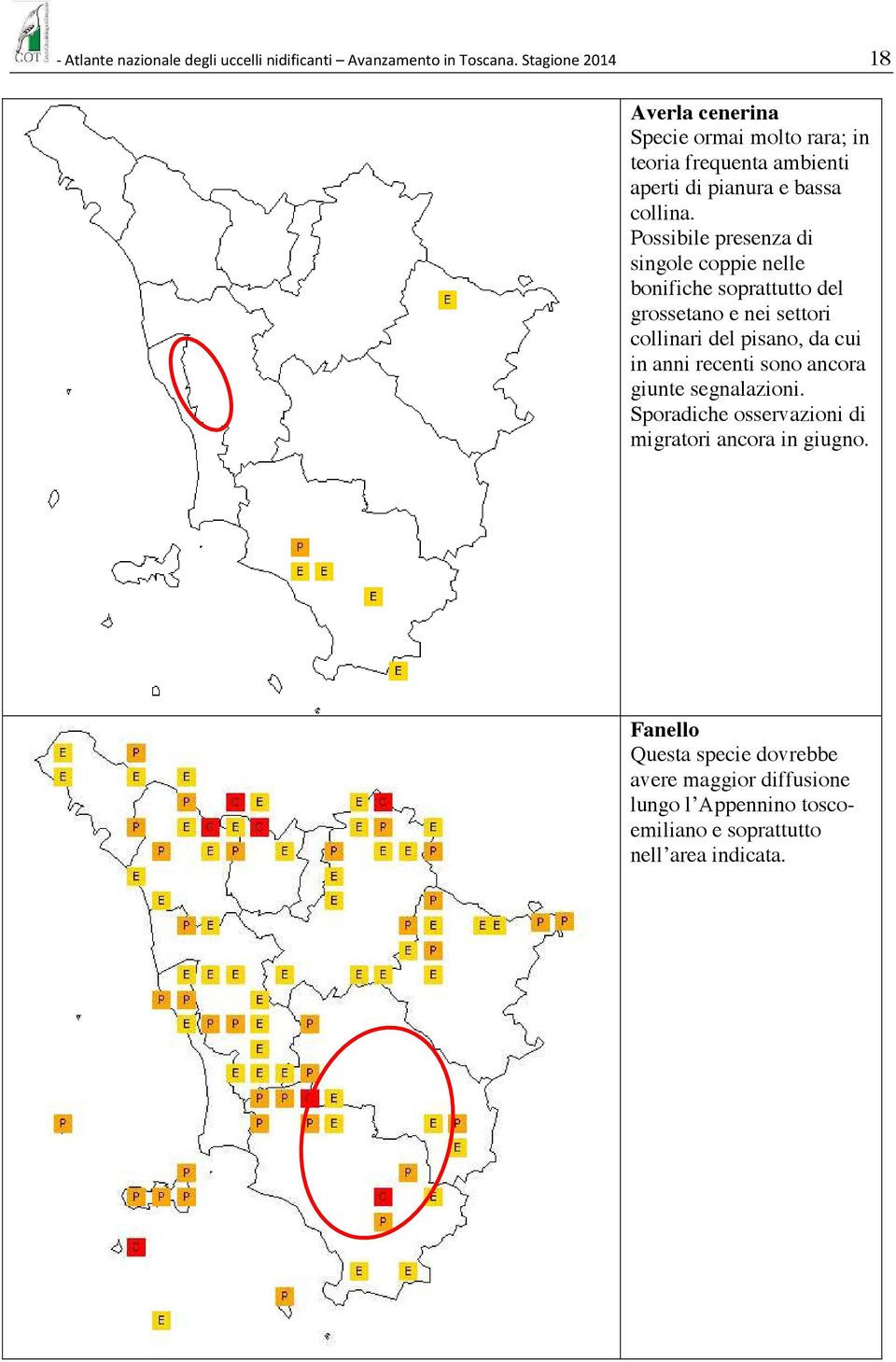 Possibile presenza di singole coppie nelle bonifiche soprattutto del grossetano e nei settori collinari del pisano, da cui in anni