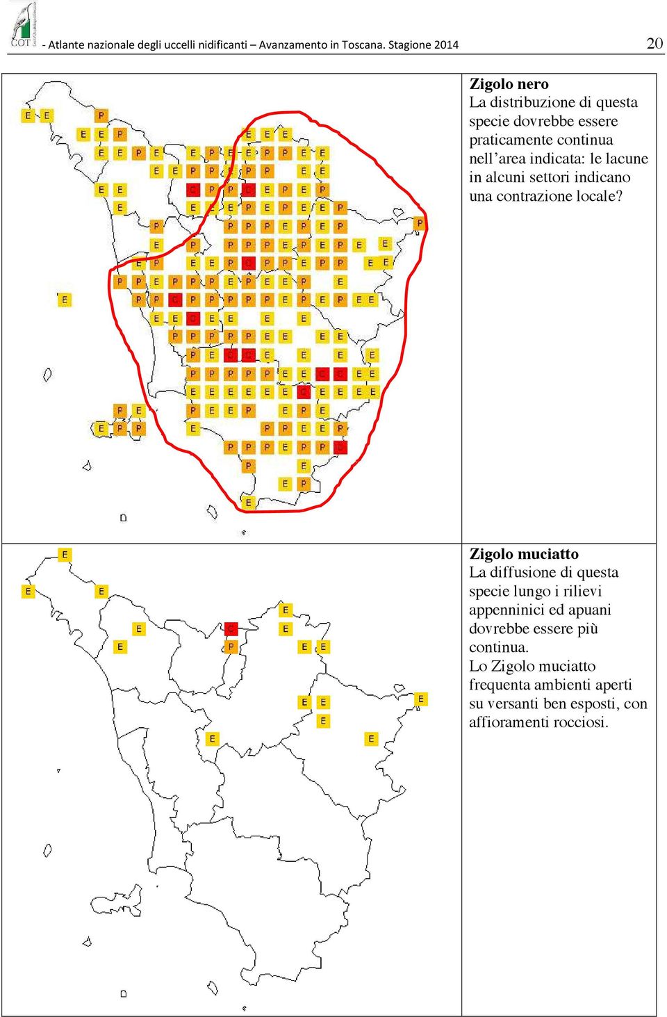 indicata: le lacune in alcuni settori indicano una contrazione locale?