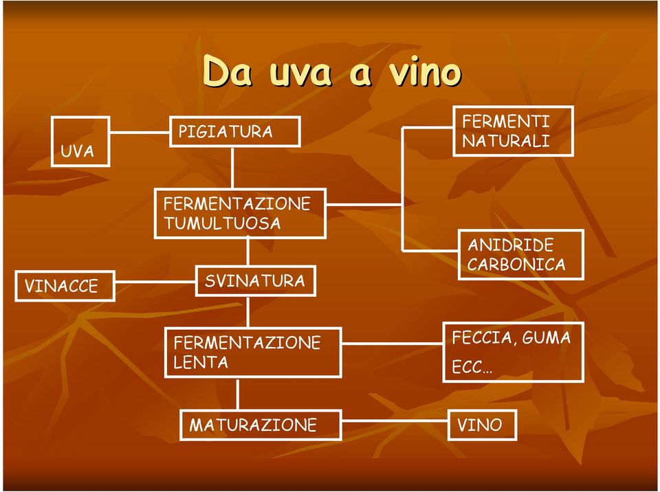 TUMULTUOSA SVINATURA ANIDRIDE CARBONICA