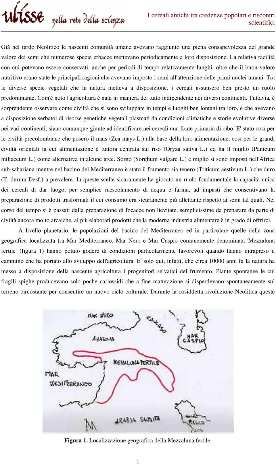 semi all'attenzione delle primi nuclei umani. Tra le diverse specie vegetali che la natura metteva a disposizione, i cereali assunsero ben presto un ruolo predominante.