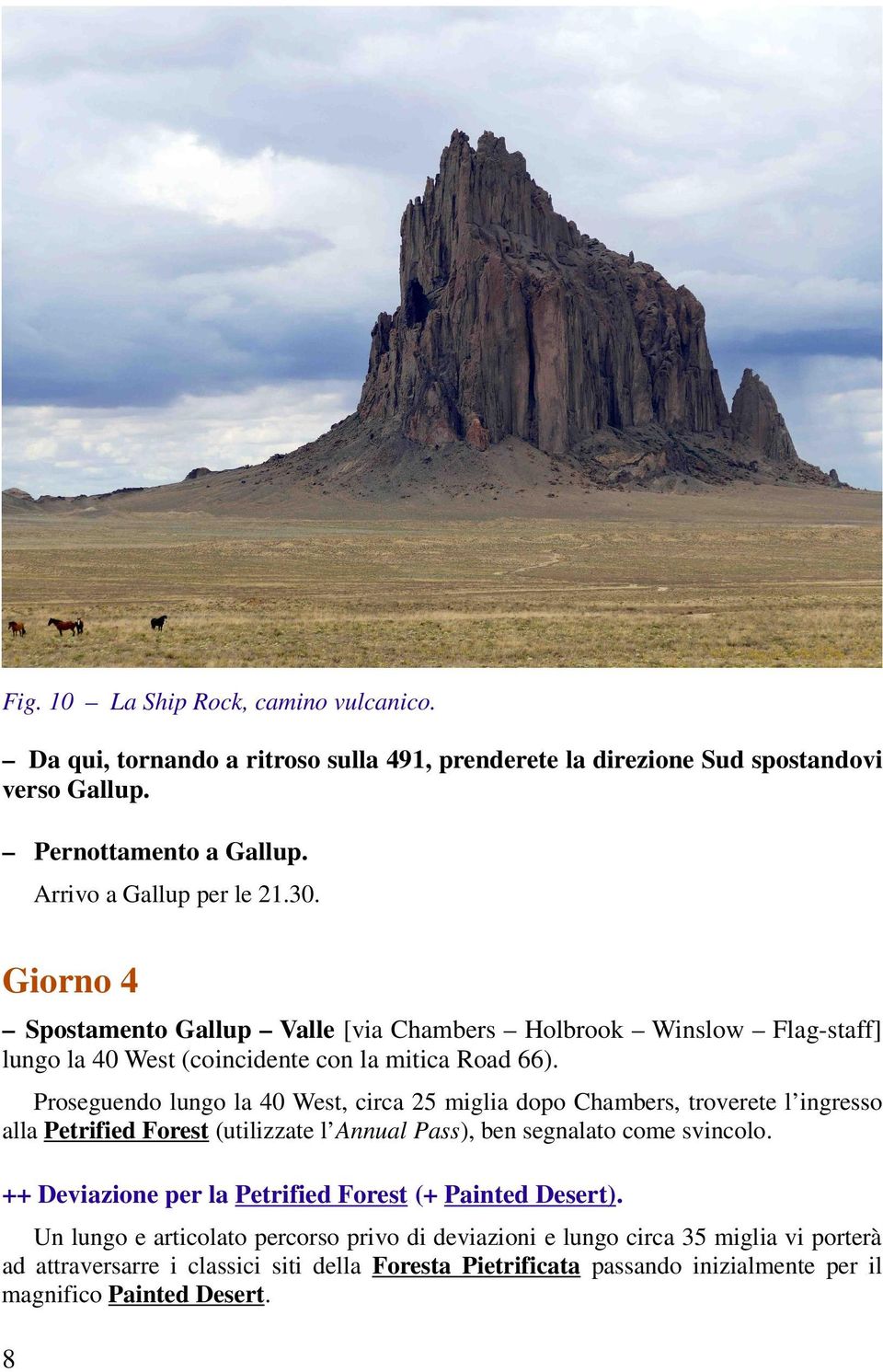 Proseguendo lungo la 40 West, circa 25 miglia dopo Chambers, troverete l ingresso alla Petrified Forest (utilizzate l Annual Pass), ben segnalato come svincolo.