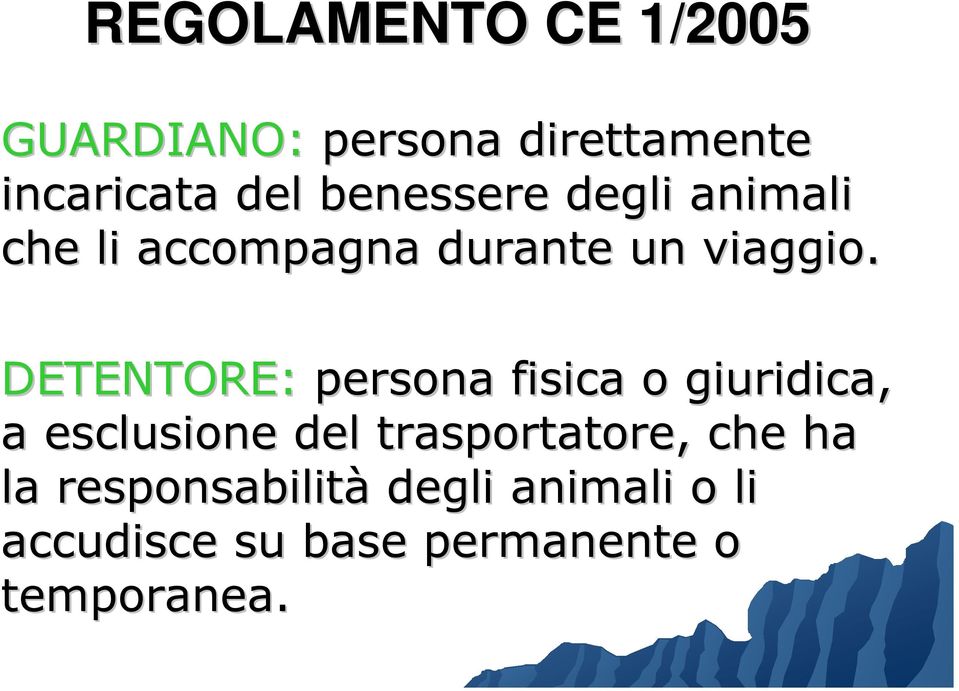 DETENTORE: persona fisica o giuridica, a esclusione del trasportatore,