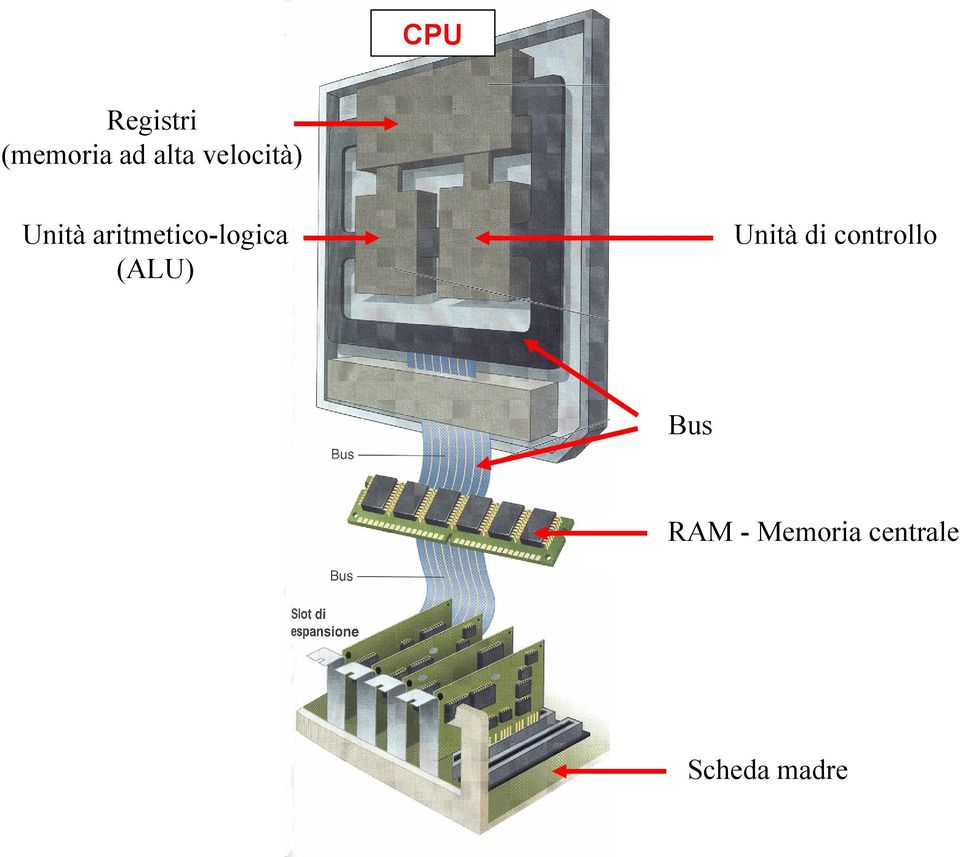 aritmetico-logica (ALU) Unità