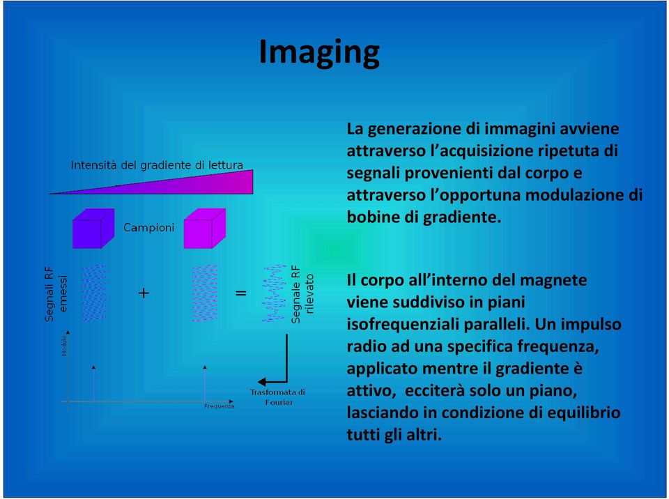 Il corpo all interno del magnete viene suddiviso in piani isofrequenziali paralleli.