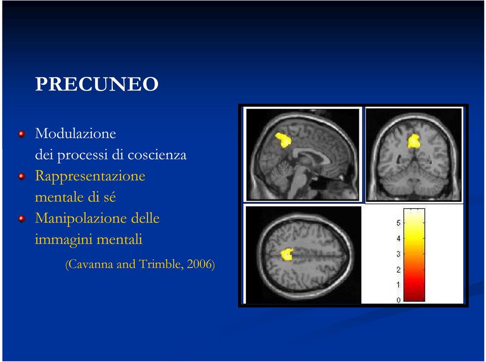 mentale di sé Manipolazione delle