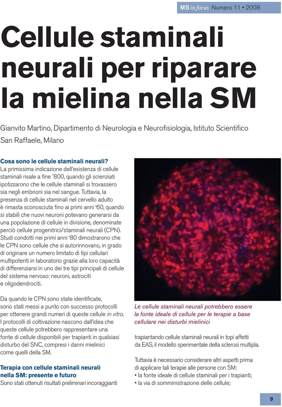 Tuttavia, la presenza di cellule staminali nel cervello adulto è rimasta sconosciuta fino ai primi anni 60, quando si stabilì che nuovi neuroni potevano generarsi da una popolazione di cellule in