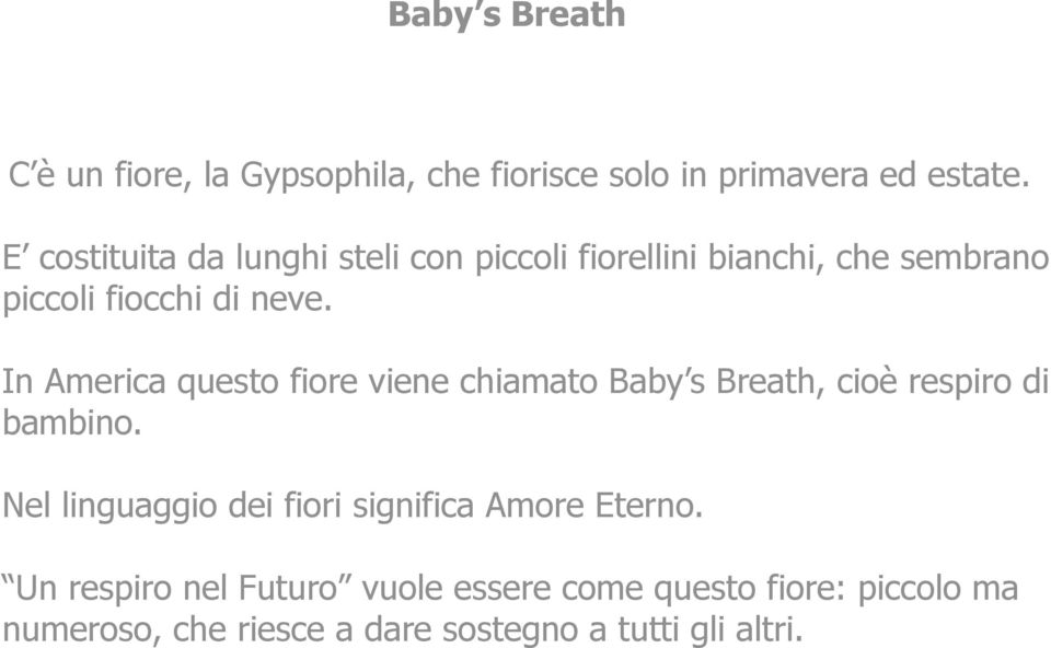 In America questo fiore viene chiamato Baby s Breath, cioè respiro di bambino.