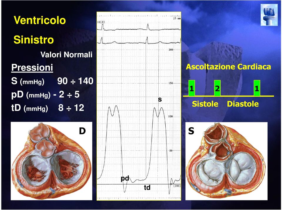 - 2 5 td (mmhg) 8 12 s Ascoltazione