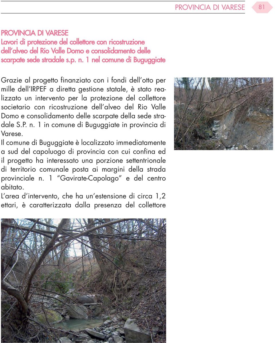 societario con ricostruzione dell alveo del Rio Valle Domo e consolidamento delle scarpate della sede stradale S.P. n. 1 in comune di Buguggiate in provincia di Varese.