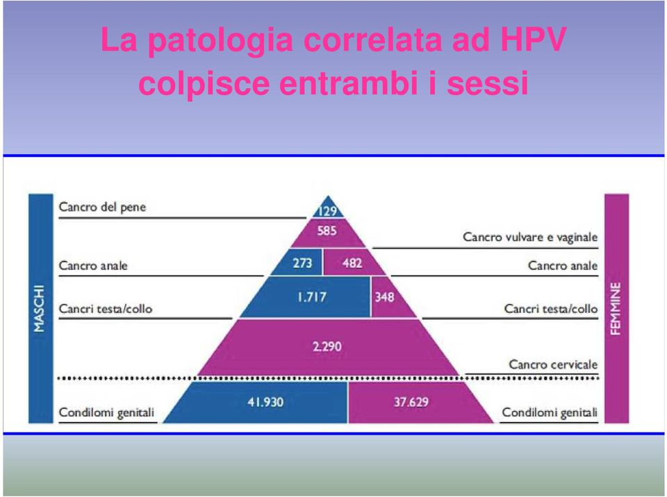 HPV colpisce