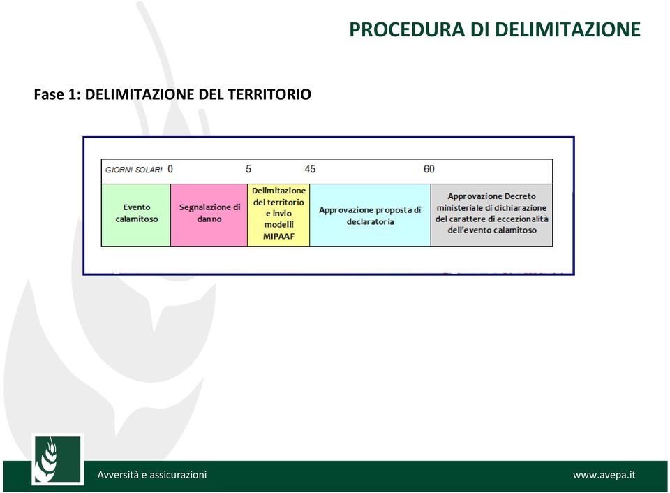 Fase 1:  DEL