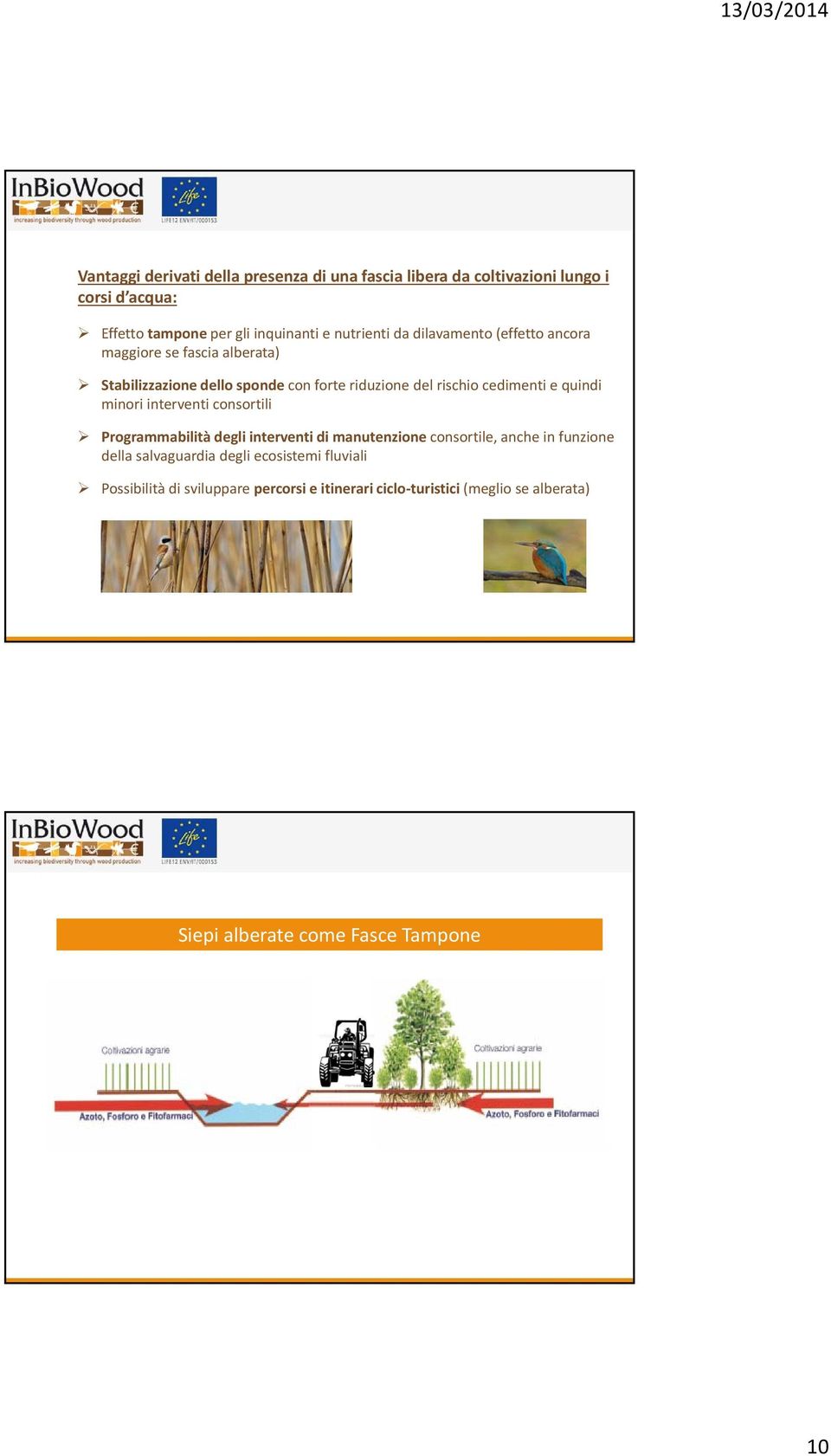 cedimenti e quindi minori interventi consortili Programmabilità degli interventi di manutenzione consortile, anche in funzione della