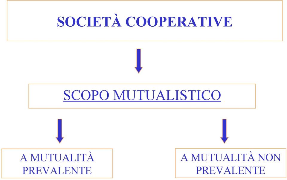 MUTUALITÀ PREVALENTE