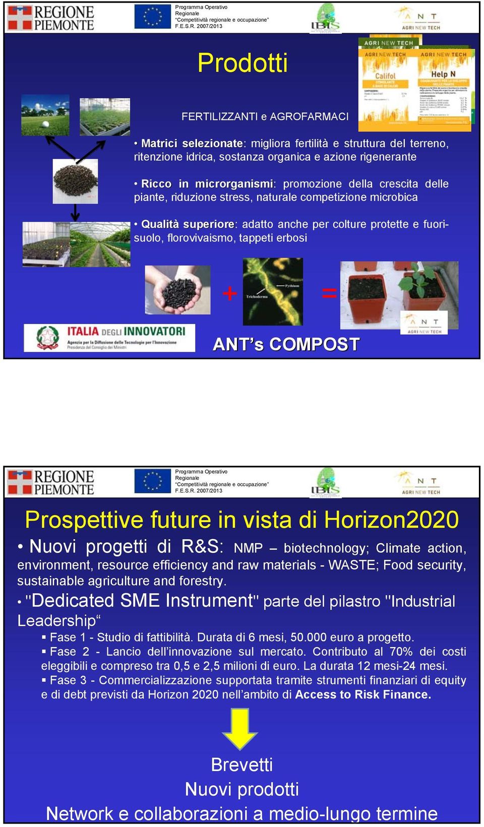 Prospettive future in vista di Horizon2020 Nuovi progetti di R&S: NMP biotechnology; Climate action, environment, resource efficiency and raw materials - WASTE; Food security, sustainable agriculture