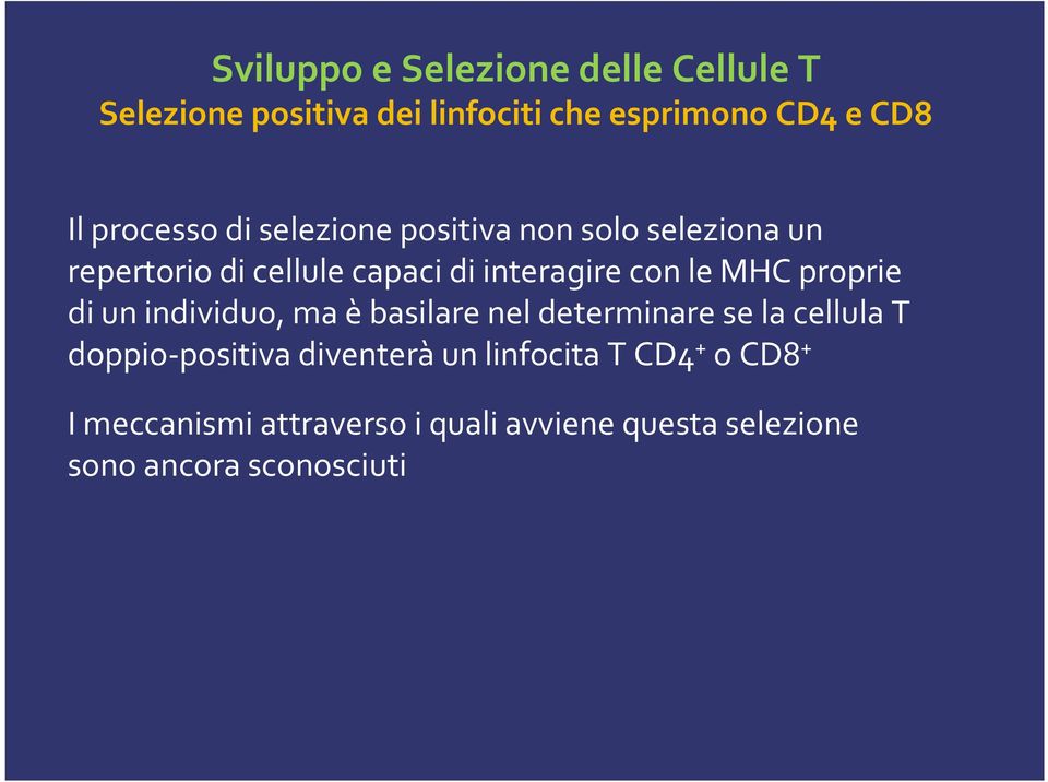 le MHC proprie di un individuo, ma èbasilare nel determinare se la cellula T doppio-positiva