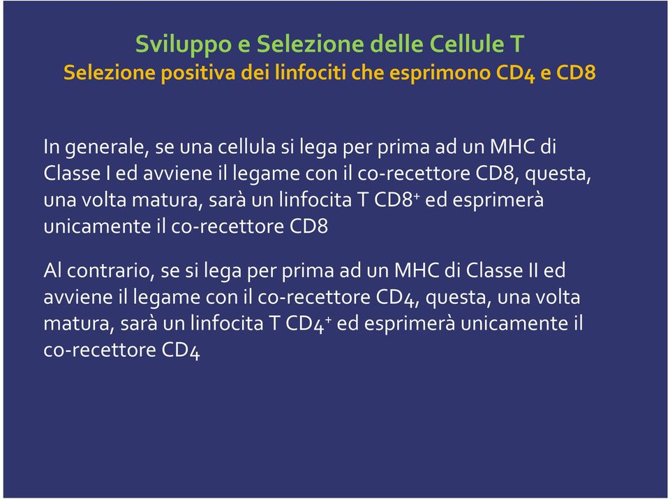 linfocita T CD8 + ed esprimerà unicamente il co-recettore CD8 Al contrario, se si lega per prima ad un MHC di Classe II ed