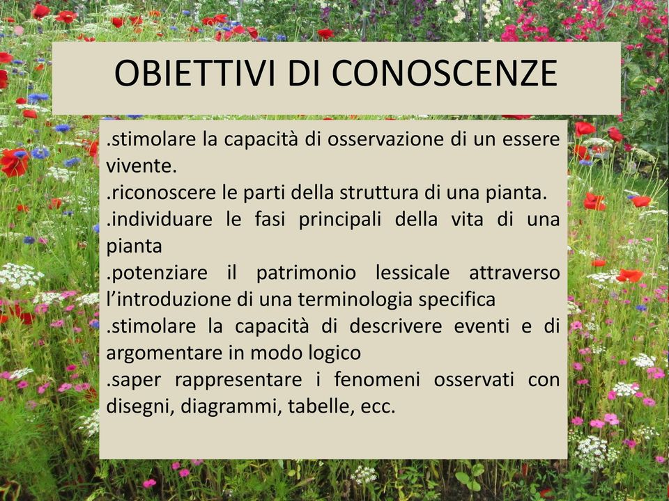 potenziare il patrimonio lessicale attraverso l introduzione di una terminologia specifica.