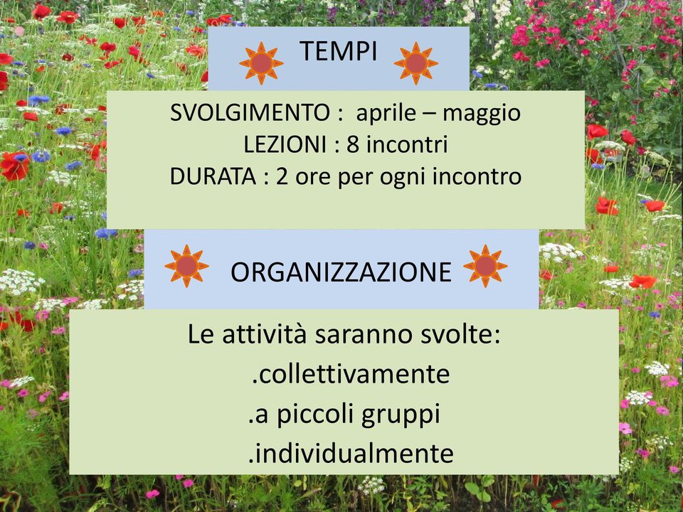 ORGANIZZAZIONE Le attività saranno svolte:.